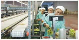 四川理工技師學(xué)院食品加工與檢驗(yàn)專業(yè)（2）