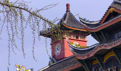 四川大學(xué)醫(yī)學(xué)院