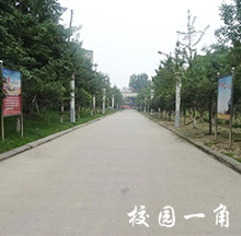 2020華達(dá)綜合高中學(xué)校招生簡介