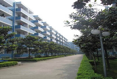 成都市希望衛(wèi)校-高級護(hù)理招生「中專+大專」