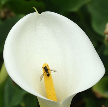 廣元職工醫(yī)學(xué)院招生老師QQ及電話
