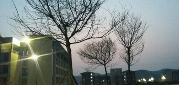 校園環(huán)境2