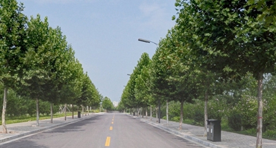 四川省阿壩衛(wèi)生學(xué)校2020招生錄取分?jǐn)?shù)線