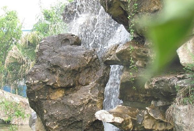 五月花-華西公園假山