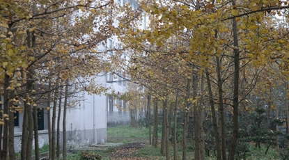 樂山市醫(yī)藥科技學(xué)校2020招生錄取分?jǐn)?shù)線