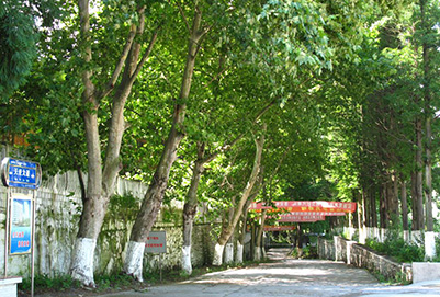 英語不好可以報(bào)成都職業(yè)技術(shù)學(xué)校的空乘專業(yè)嗎