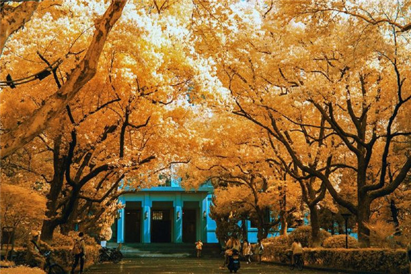 讀職高學校好嗎