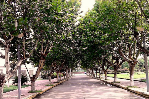 德陽職業(yè)學(xué)校