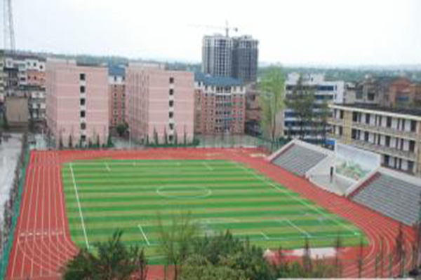 資陽職高學(xué)院有哪些