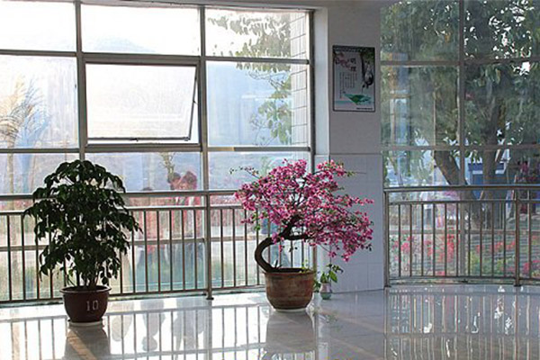 攀枝花高職招生