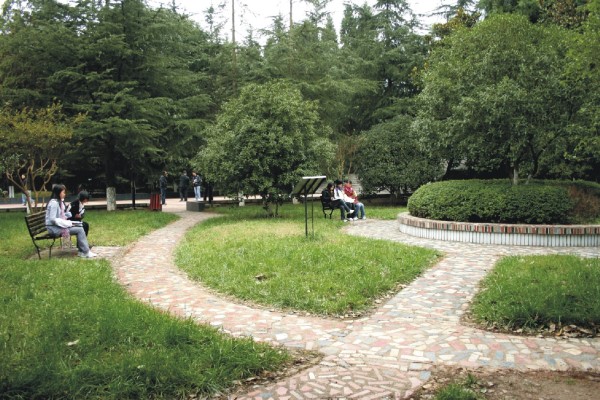 雅安職業(yè)技術學校怎么樣