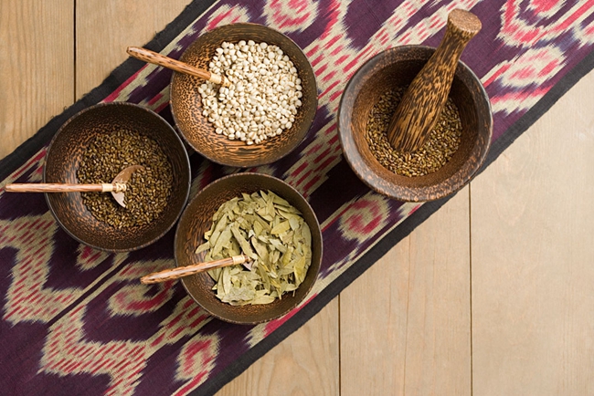 中醫(yī)學(xué)-中藥材