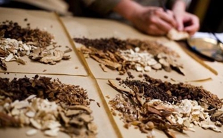 樂山衛(wèi)生學(xué)校