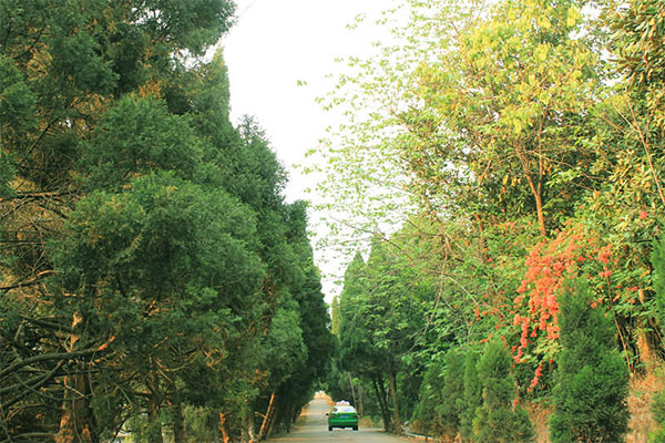 瀘州職業(yè)中學