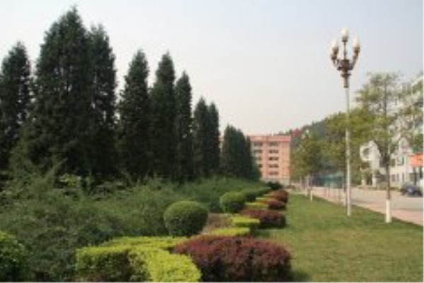 綿陽職業(yè)學校哪些好