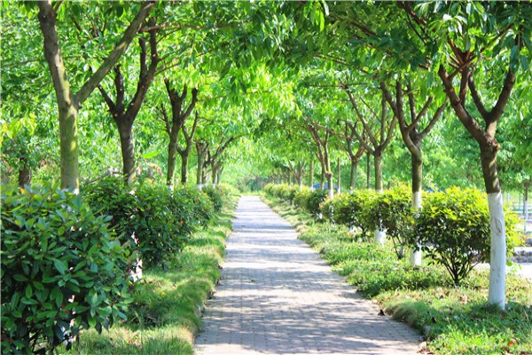 成都職業(yè)學(xué)校有哪些