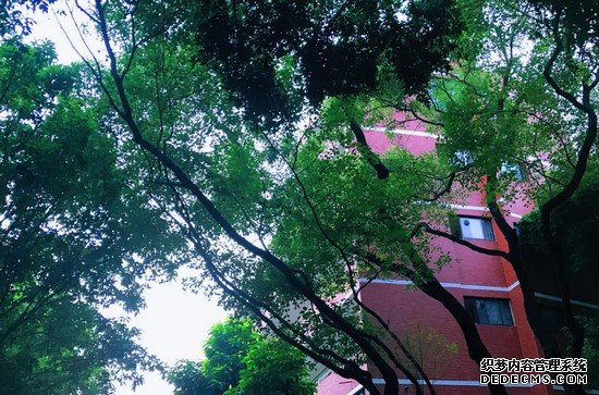 重慶市醫(yī)科學校招生簡介及招生計劃要求