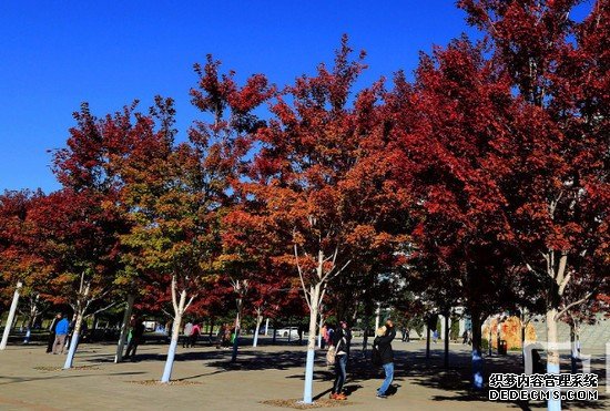 重慶市醫(yī)藥科技學校招生簡介及招生計劃要求