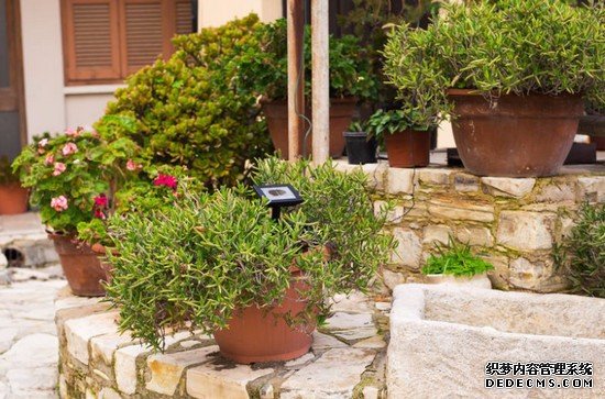 重慶市醫(yī)藥經(jīng)貿(mào)衛(wèi)生學(xué)校招生錄取分?jǐn)?shù)線