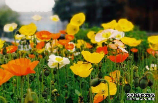 重慶市萬州衛(wèi)生職業(yè)學(xué)校有哪些專業(yè)及什么專業(yè)好