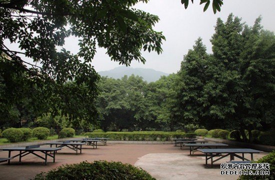 重慶市知行衛(wèi)生學(xué)校招生錄取分?jǐn)?shù)線