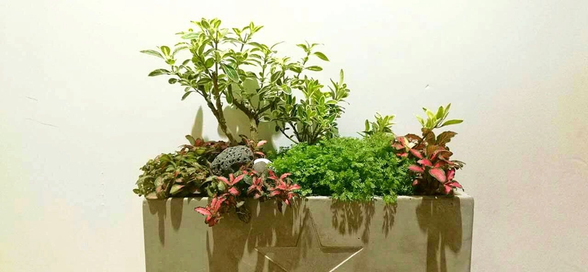 男生初中畢業(yè)可以讀衛(wèi)校嗎