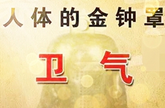 中醫(yī)學(xué)中的衛(wèi)氣