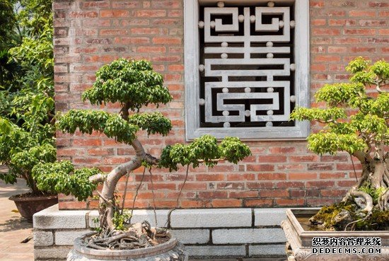 重慶市醫(yī)藥經(jīng)貿(mào)衛(wèi)生學(xué)校有哪些專(zhuān)業(yè)及什么專(zhuān)業(yè)好