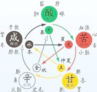 中醫(yī)學(xué)中的五行【全】
