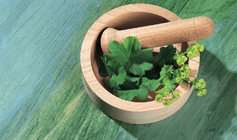 什么是中醫(yī)學的陰陽？