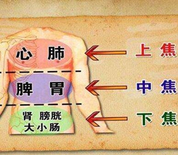 中醫(yī)學(xué)專(zhuān)業(yè)好不好？【全】