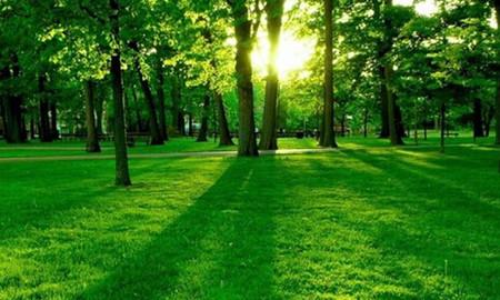 2020森林資源保護專業(yè)怎么樣_主要課程_就業(yè)方向與前景分析