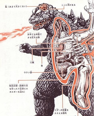 醫(yī)學(xué)影像專業(yè)學(xué)習(xí)解剖嗎？【全】