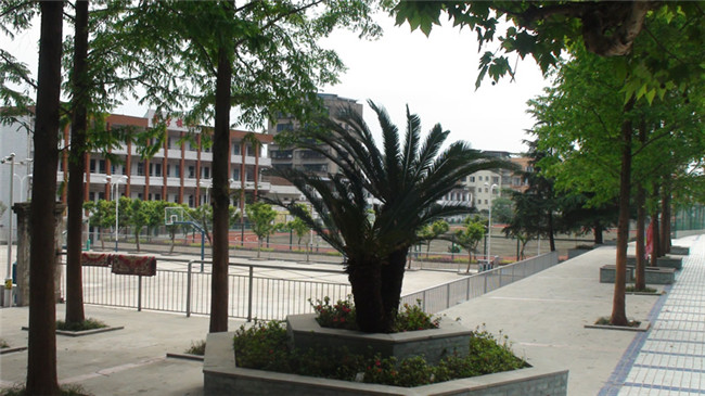 達州市職業(yè)高級中學(xué)