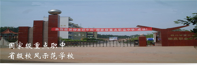 宜賓縣柳嘉職業(yè)技術(shù)學(xué)校