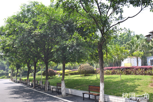 重慶光華女子學校校園一角