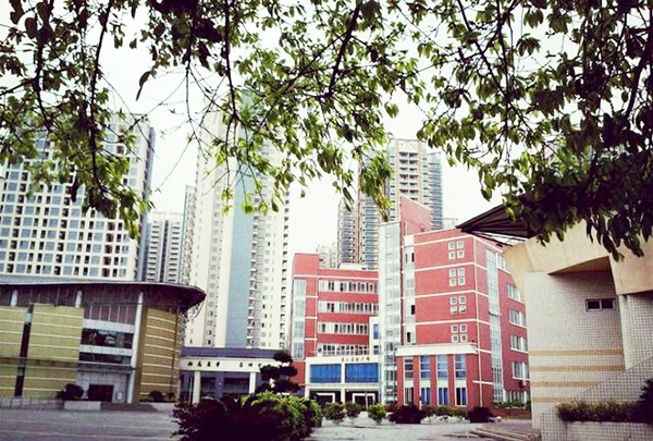 四川省衛(wèi)生學(xué)校(四川護(hù)理職業(yè)學(xué)院)第二實訓(xùn)樓和體育館（龍泉校區(qū)）