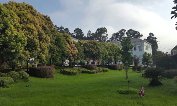 安寧市職業(yè)高級中學(xué)草坪