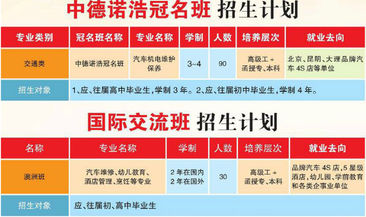 大理技師學(xué)院中德、國際班