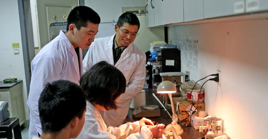 第三軍醫(yī)大學(xué)醫(yī)學(xué)影像學(xué)專業(yè)招生