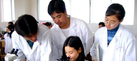 教學(xué)活動(dòng) (1)