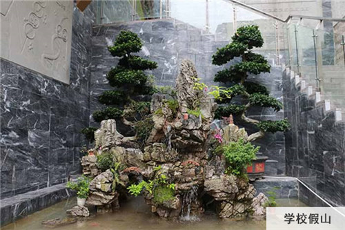 重慶醫(yī)藥經(jīng)貿(mào)學(xué)校假山