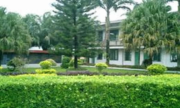 景洪市職業(yè)高級中學校園綠化