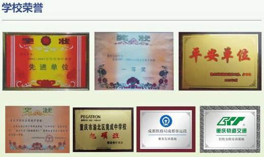重慶竟成職業(yè)技術(shù)學校榮譽