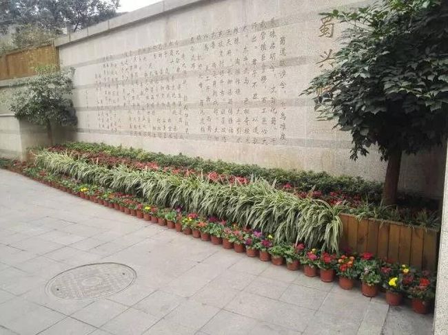 成都蜀興職業(yè)中學(xué)學(xué)校打門