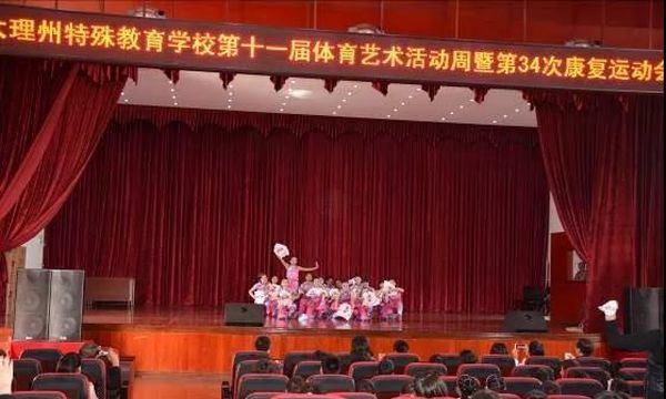 大理州特殊教育學(xué)校多媒體報(bào)告廳