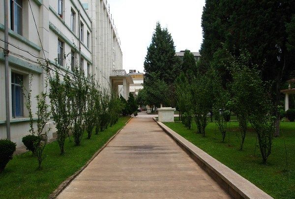 云南農(nóng)業(yè)職業(yè)技術學院求學之路