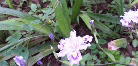 大理大學(xué)醫(yī)學(xué)院醫(yī)學(xué)影像技術(shù)專業(yè)