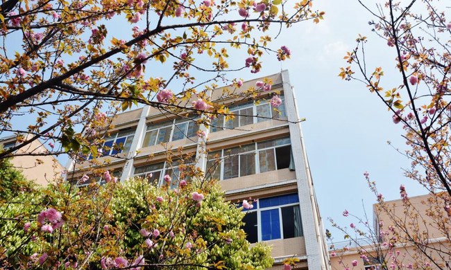 宜賓職業(yè)技術學院櫻花園中的教學樓