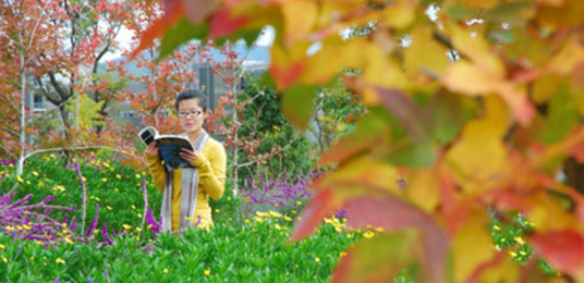 云南師范大學(xué)應(yīng)用心理學(xué)專業(yè)